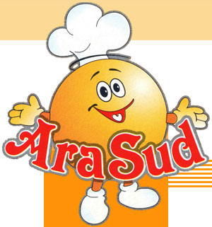 Logo Ara Sud